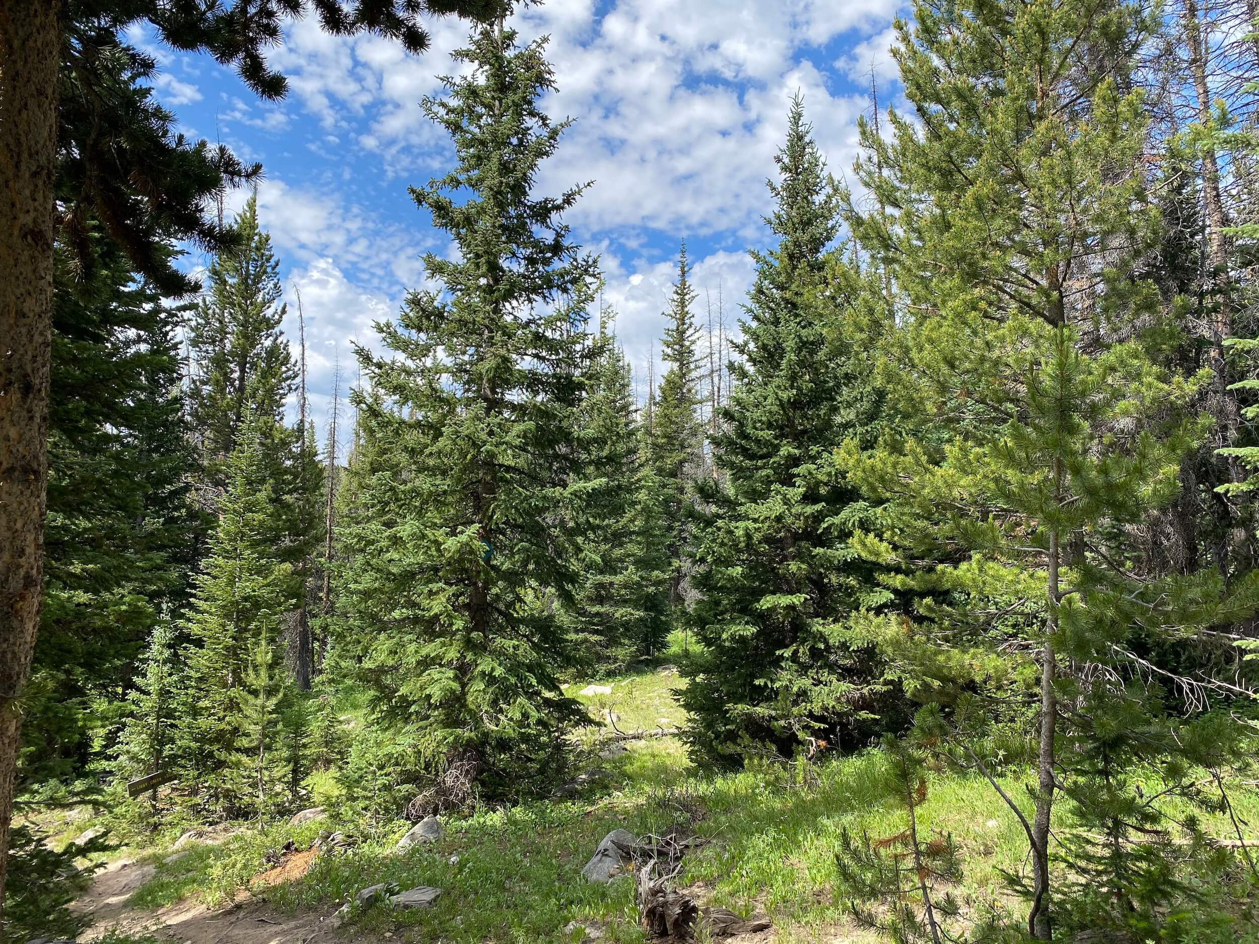 Libby Creek Loop in the Snowy Range - The Good, The Bad and the RV