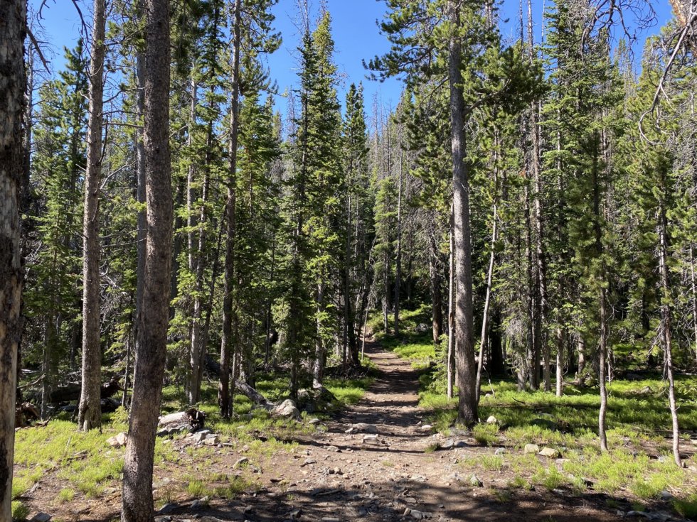 Libby Creek Loop in the Snowy Range - The Good, The Bad and the RV