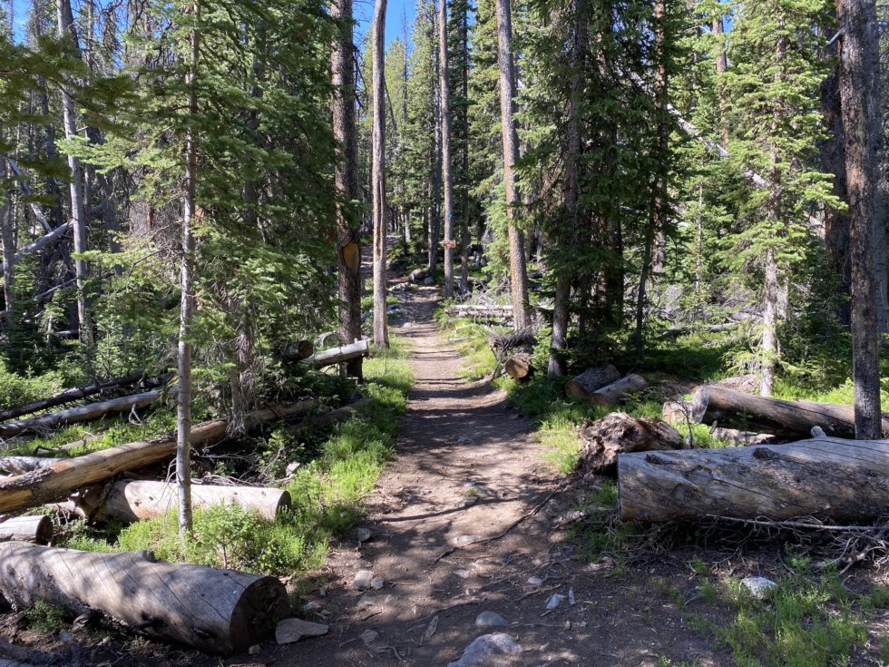 Libby Creek Loop in the Snowy Range - The Good, The Bad and the RV