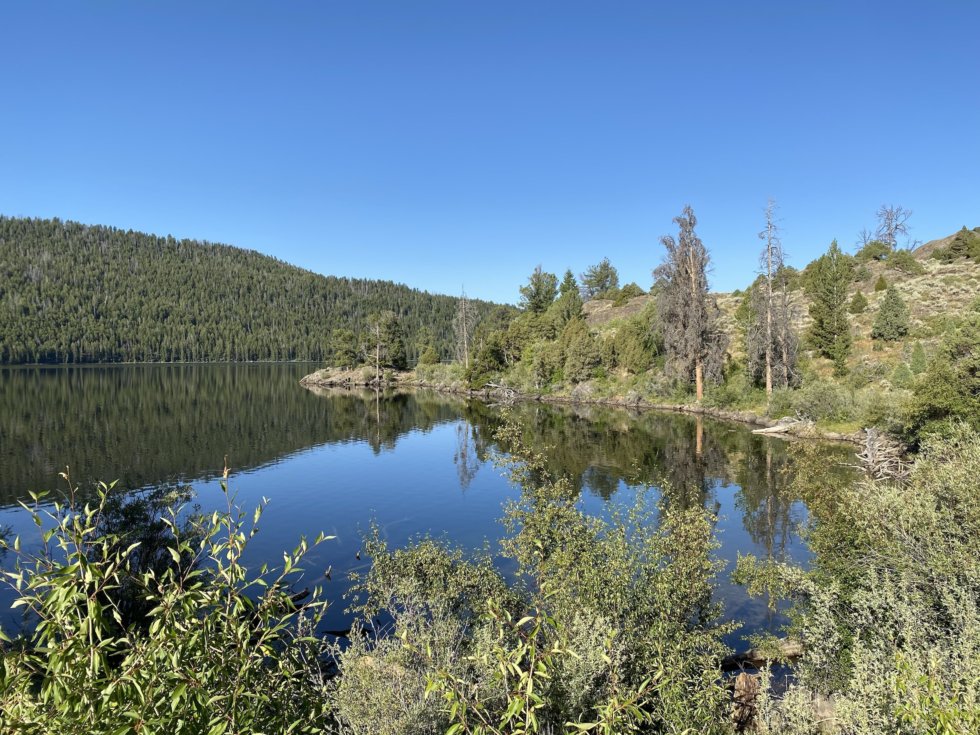 Half Moon Lake Trail, Bridger Teton NF - The Good, The Bad and the RV