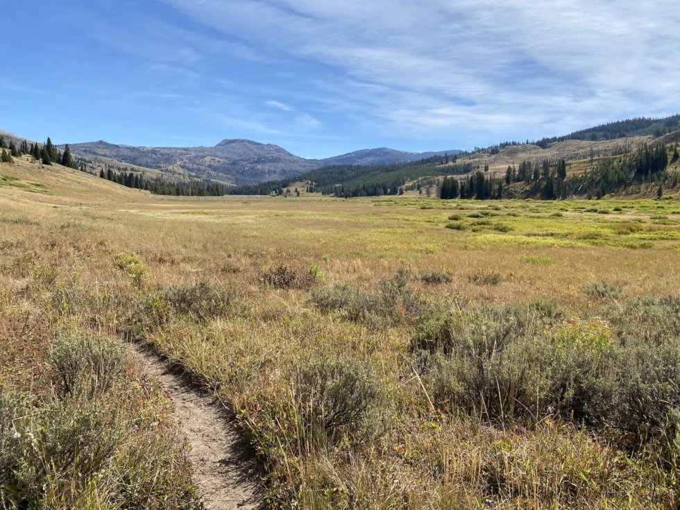 Upper Gallatin River Valley via Bighorn Pass Trail, Yellowstone - The ...