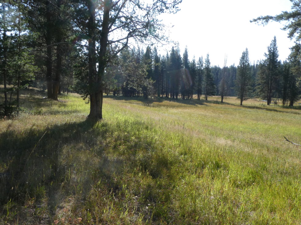 Nez Perce Creek (western Mary Mountain Trail), Yellowstone - The Good ...